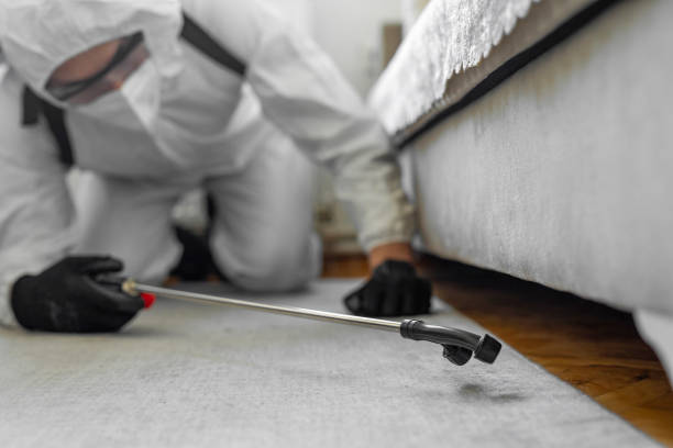 Professional Pest Control technician working in New Holland, PA